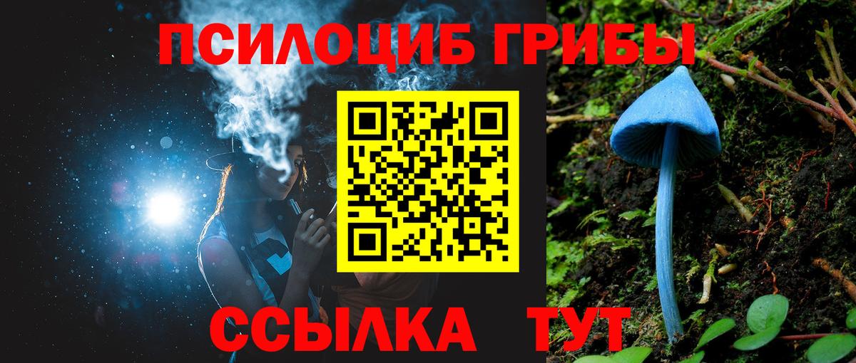 Псилоцибиновые грибы Psilocybine cubensis  Вход с VPN  Зеленогорск 