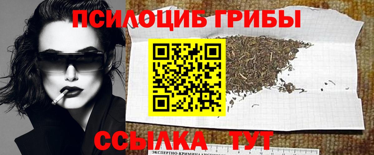 Псилоцибиновые грибы мицелий Зеленогорск