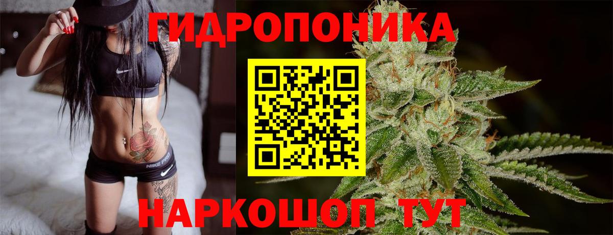 Шишки марихуана OG Kush Зеленогорск